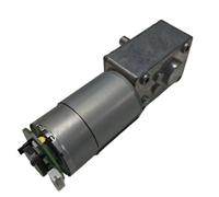 1 motorreductor de tornillo sin fin 5840 555 CC de 12 V y 24 V con autobloqueo y velocidad ajustable hacia adelante y hacia atrás.(Motor x bracket,80rpm,24V)