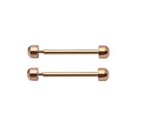 1 par de pasadores de tornillo para correa de reloj inteligente, hebilla de tubo de fricción, accesorios de reparación, 16 mm, 18 mm, 20 mm, 22 mm, oro rosa, 16mm, Clásico