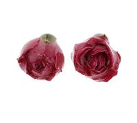 1 par de pendientes de moda con diseño de flores, para decoración de oreja, joyería de bricolaje, color rojo