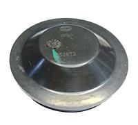 1 PC YEHOLTE para 155665 153874 153873 15387300 101846 35D941607B S00015122 15387402 15566500 Cubierta antipolvo para faros delanteros (153873 1538773 153877402) 350 cm