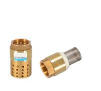 1 pieza 1/2 "3/4" "2" BSPP válvula de retención latón rosca interna con filtro acero DN15 DN25 DN40 for bomba agua(1l2 Steel mesh)