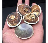 1 pieza de piedra natural para reiki, accesorios de bricolaje