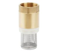 1 Pulgada Válvula de Pie, Válvula de Pie de Latón, Válvula de Retención Con Filtro de Acero Inoxidable