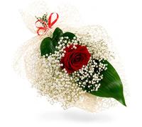 1 Rosa Fresca Natural Decorada con Paniculata | Rosa Roja Para Ella | Flores Románticas para Regalo, San Valentín, Aniversario o Detalle Especial