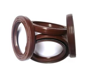 1 sello de aceite de doble labio de caucho flúor con esqueleto de hierro - ID 48-58 mm for aplicaciones automotrices e industriales(55x80x12)