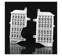 1 Set Motorcycle Radiator Grille Guard Cover Compatible with CRF 1100 L Africa Twin ADV Adventure Sports 2020-2021 (Color : A Silver CRF1100L, Size : A)