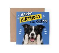1 tarjeta de felicitación de Border Collie - Feliz cumpleaños Shocked How Old? Broma perro divertido #72623