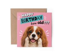 1 tarjeta de felicitación de King Charles Spaniel con texto en inglés "Happy Birthday Shocked How Old? Joke Dog Pink Funny #72631