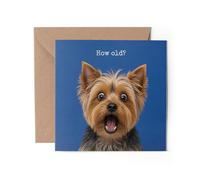 1 tarjeta de felicitación de perro Yorkshire Terrier con texto en inglés "Happy Birthday How Old? Joke Dog Funny #72598