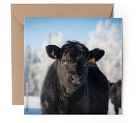 1 tarjeta de felicitación - vaca Angus Aberdeen negra - en blanco celebración de cumpleaños aniversario #50267