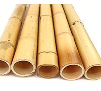 1 tubo de bambú Moso con 100 cm amarillento, diámetro 8,8 a 10 cm, blanqueado, tubo de bambú de diámetro grueso