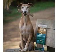 1 ud. True Origins Joints Chewing Sticks Snack para perros