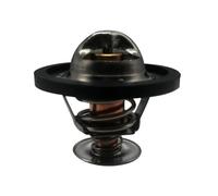 1 Uds 3831426 Kit de termostato con junta tórica for 4,3 5,0 5,7 8,1 L V6 V8-3831426