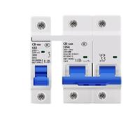 1 Uds CB-60 disyuntor fotovoltaico vehículo eléctrico CB-60A 1P 2P 16A 20A 25A 32A 63A 80A 100A 125A DC(1P,40A)