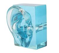 1 Uds. Modelo de Pantalla de Oído Derecho, Acrílico Azul Transparente Impermeable Artificial Humano Derecho Oído Falso Modelo de Pantalla para Ayudas de Sonido