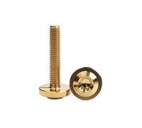 1 Uds perno de titanio Ti M4 M5 M6 M8 longitud 10/15/20/25/30/35/40/45/50/55/60mm sujetadores de tornillos Torx con cabeza de armazón(Gold,M5x25mm)