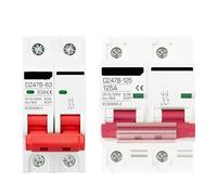 1 unidad 2P DC MCB 12V 24V 48V 500V disyuntor protector de batería de automóvil DZ47 interruptor de protección de polo positivo y negativo(125A)