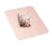 1 Unidad Alfombrilla Refrescante Para Mascotas Pequeñas 30x20x0.5 Cm