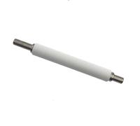 1 Unidad de Kit de Mantenimiento de Conjunto de Rodillo de Platina de P1037974-028 for Impresora Zebra ZT200 Series ZT210 ZT220 ZT230 ZT111 ZT211 ZT231 ZT231CN(Only Roller)