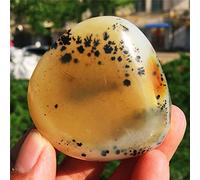 1 unids aaaa madagascar cáscara natural fósil piedra cruda jurásico fósil amonitas fósiles rojo luz hermosa