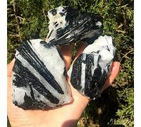 1 unids Natural Negro Turmalina Cristal de piedras preciosas de piedras preciosas Coleccionistas de roca áspera Espécimen de minerales Piedra de curación Decoración del hogar-230g - 250g_PC 1
