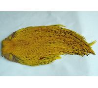 1 x cuello de gallo indio - amarillo - 'Top quality' para montaje de moscas pesca