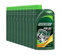 Fanfaro Aceite de motor MASTER TSE 5W-30 VW 502 00/505 00/MB 229.1 1L
