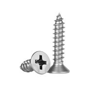 10/20/50/100/150 unidades Tornillos autorroscantes de cabeza plana avellanada con cruz acero inoxidable 304 M1.2 .4 .7 M2 .3 .5 .6 M3 M4 M5 M6(14mm,M5 (10pcs))