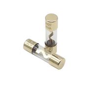 【10-2PCS】10 * 38MM Gold Plated Glass AGU Fuse Fuses Pack Car Audio Amp Amplifier 10 15 20 25 30A 40A 50A 60A 70A 80A 100A Car Fuse(2PCS,25A)