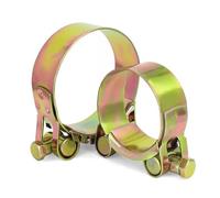 10 abrazaderas de garganta resistentes de estilo europeo, galvanizadas, gruesas y resistentes (17-252 mm)(92-97mm)