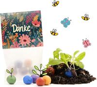 10 bolas de flores «Danke» - bombas de semillas y obsequios sostenibles