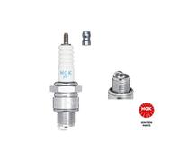 10 Bujías M14 X 1,25 Con Asiento Plano NGK Para Entre Otros YAMAHA