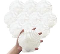 10 conchas marinas blancas para manualidades, hornear, cocinar, servir alimentos, conchas marinas naturales grandes de 4 a 5 pulgadas para manualidades, decoraciones de playa para decoración del hogar