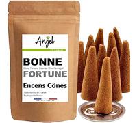 10 Conos de Incienso con Aroma a Buena Fortuna - Incienso de Cono 100% Natural de relajación meditación purificación + Quemador de Puerta de Incienso ofrecido - NCA