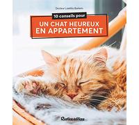 10 conseils pour un chat heureux de vivre en appartement (ANIMAUX, MODE D'EMPLOI)