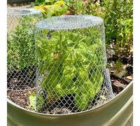 10 cubiertas de protección para plantas hechas de hierro para defensa de jardín durante todo el año (blanco)