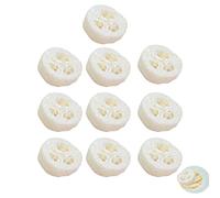 10 esponjas de lufa natural, de secado rápido, versátiles, para hámsters de luffa, esponja para limpiar el polvo en copos de lufa, respetuosa con la piel, para hacer jabón