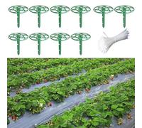 10 estantes de soporte para plantas para fresas para mantener las ramas elevadas y la fruta limpia durante el crecimiento, mejorando la producción de fresas de jardín (20 x 15 cm)