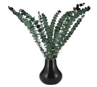 10 Eucalipto Secado Naturales Flores Secas, Decoración De Flores Centro De Mesa Eucalipto Seco Natural, Planta De Eucaliptos Verde Fresco Naturals Hecha De Ramas De Hojas De Eucaliptos Reales