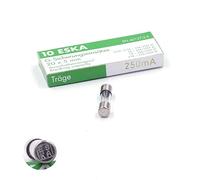 10 fusibles temporizados (T) de cristal, 250 mA/250 VAC 5 x 20 mm