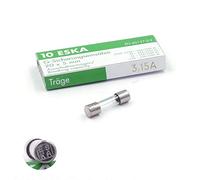 10 fusibles temporizados (T) de vidrio 3,15 A/250 VAC 5 x 20 mm