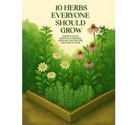 10 Herbs Everyone Should Grow: Where The Wild Grows Into Medicine; One Plant,One Tincture,One Story At a Time