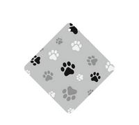 10 hojas aromáticas para ambientador de coche, con estampado de huellas de animales, accesorios para colgar en el coche con cuerdas para decoración