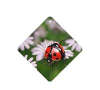 10 hojas de ambientador de coche con estampado de mariquitas, con cuerda, para el hogar