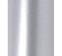 10 hojas de tarjetas de 30,5 x 30,5 cm, 290 g/m², tarjetas decorativas para manualidades (plata real)