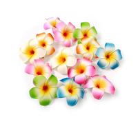 10 horquillas multicolor de flores hawaianas de plumeria hawaiana, horquillas para el pelo para fiesta en la playa, horquillas para el pelo de flores tropicales artificiales para boda, accesorios para