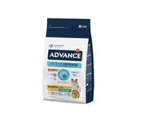 Advance Cat Adult Sensitive Sterilized, Pienso para Gatos Adultos Esterilizados con Sensibilidades Digestivas con Salmón, 10kg