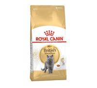 Royal Canin Gato British Shorthair 10 Kg