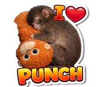 10 Pack Funny Protect Punch The Monkey Sticker, Meme Monkey Vinyl Decal for Car Window Laptop Water Bottle, Waterproof Bumper Sticker (B)