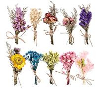 10 Paquetes de Mini Ramo de Flores Secas Naturales, Flores Secas Pequeñas para Manualidades y Decoración del Hogar